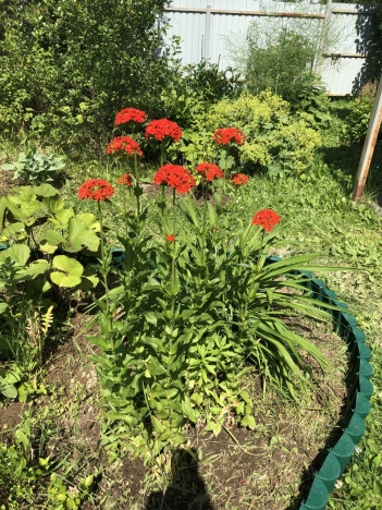 Купить дачу в Нижегородской области. Вариант № 6272756, 11, площадь -  квм, цена 2500000 рублей