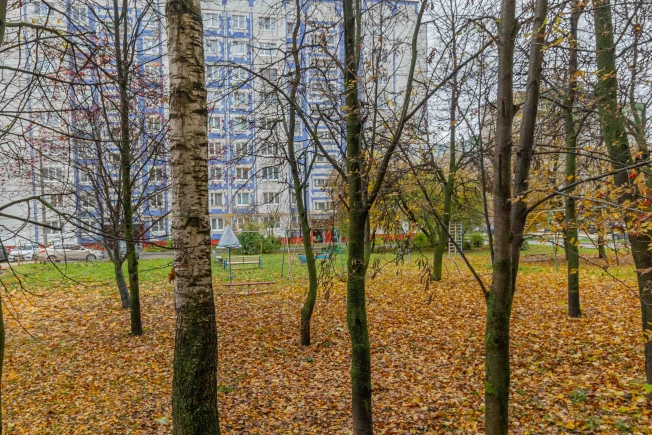 Купить квартиру на улице Безыменского в Владимире. Вариант № 8124694, 8, площадь -  квм, цена 5700000 рублей