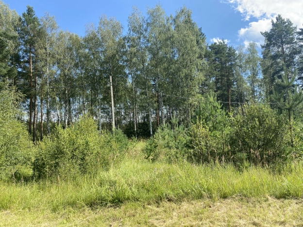 Купить земельный участок в Гусь-Хрустальном. Вариант № 2879, 5, площадь -  квм, цена 620000 рублей