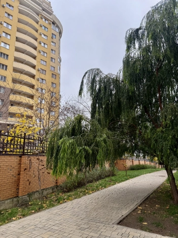 Купить однокомнатную квартиру на улице Кожевенная в Краснодаре. Вариант № 40733, 18, площадь -  квм, цена 10000000 рублей