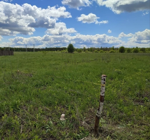 Купить земельный участок в Брянской области. Вариант № 1808198, 8, площадь - квм, цена 699000 рублей
