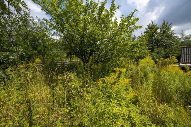 Купить земельный участок у метро Двигатель Революции в Нижнем Новгороде. Вариант № 1161099, 3, площадь - квм, цена 1550000 рублей