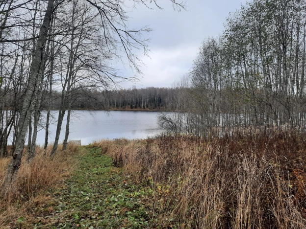 Купить земельный участок в Республике Карелия. Вариант № 14415, 4, площадь -  квм, цена 1000000 рублей