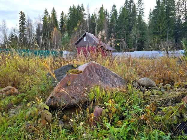 Купить земельный участок в Петрозаводске. Вариант № 8008901, 6, площадь -  квм, цена 950000 рублей