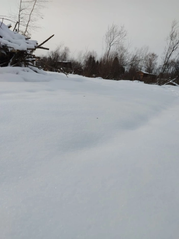 Купить земельный участок в Искитиме. Вариант № 9433408, 8, площадь -  квм, цена 850000 рублей