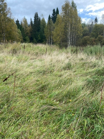 Купить дачу в Вологодской области. Вариант № 10233126, 4, площадь -  квм, цена 700000 рублей
