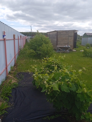 . Вариант № 1299679, 32, площадь -  квм, цена 1150000 рублей