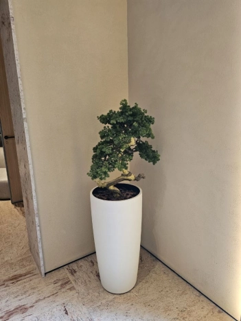 Купить квартиру в Москве. Вариант № 8781755, 34, площадь -  квм, цена 43000000 рублей