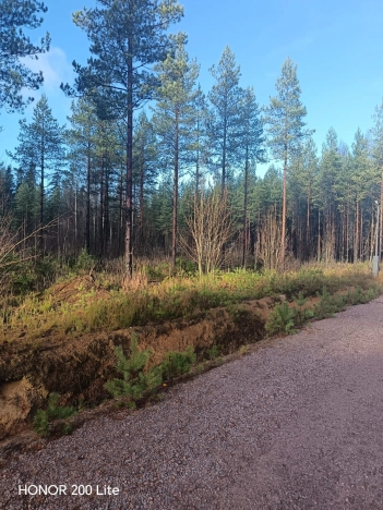 Купить земельный участок в Санкт-Петербурге. Вариант № 9221759, 7, площадь -  квм, цена 6000000 рублей