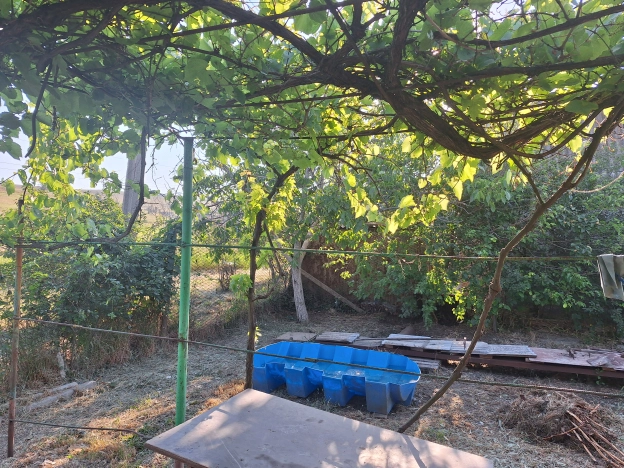 Купить дачу в Краснодарском крае. Вариант № 12885, 8, площадь -  квм, цена 1200000 рублей