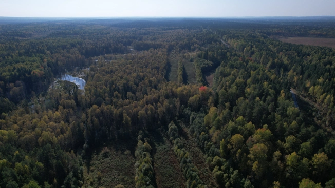 Купить земельный участок в Республике Карелия. Вариант № 13851, 9, площадь -  квм, цена 6000000 рублей