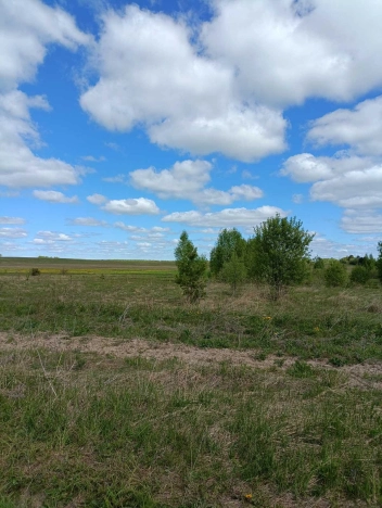 . Вариант № 13465, 4, площадь - квм, цена 300000.0000 рублей