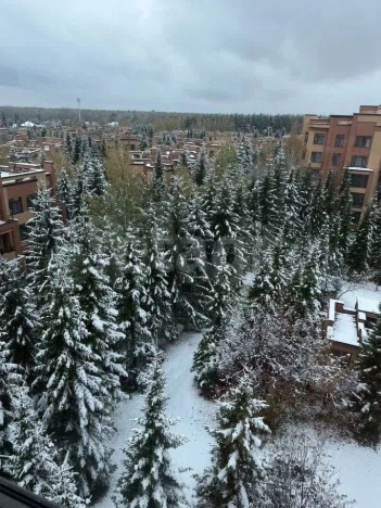 Купить квартиру в ЖК Скандиа ( Новый кедровый ) в Новосибирске. Вариант № 23491, 33, площадь -  квм, цена 7350000 рублей