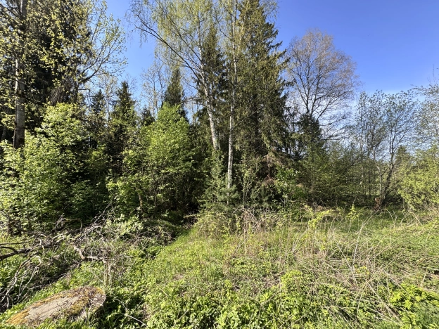 Купить земельный участок в Сергиеве Посаде. Вариант № 43159, 2, площадь -  квм, цена 3700000 рублей