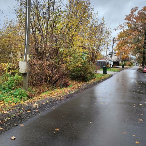 Купить земельный участок в Калининграде. Вариант № 8367598, 5, площадь -  квм, цена 3100000 рублей