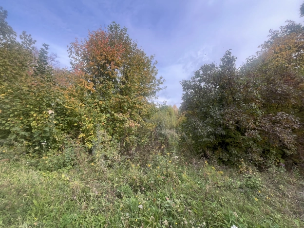 Купить земельный участок в Пензе. Вариант № 5339852, 2, площадь -  квм, цена 1650000 рублей