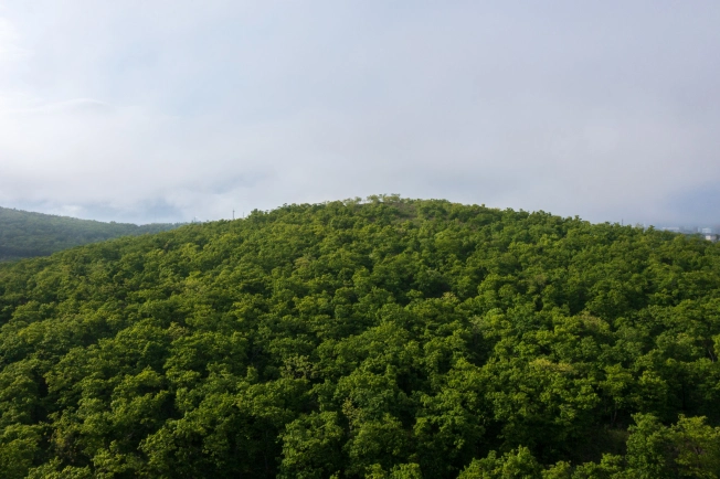 Купить двухкомнатную квартиру в новостройках на улице Весенняя в Приморском крае. Вариант № 4137368, 3, площадь - квм, цена 10592700 рублей
