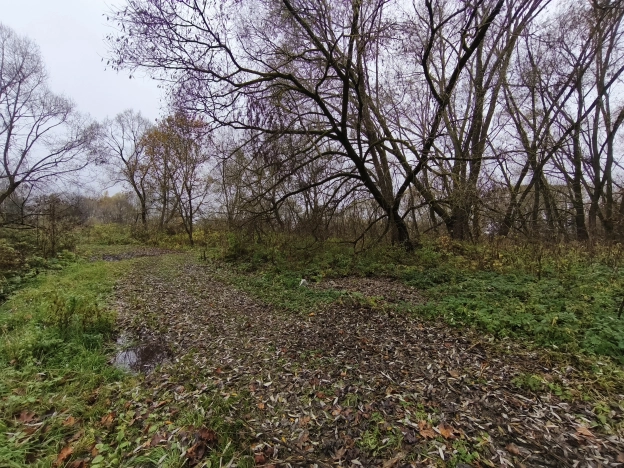 Купить дом в Москве. Вариант № 8711391, 1, площадь -  квм, цена 4700000 рублей