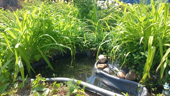 Купить земельный участок в Искитиме. Вариант № 19578, 19, площадь -  квм, цена 850000 рублей