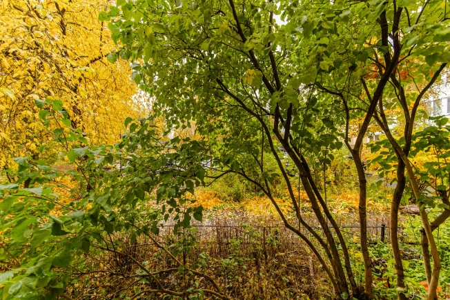 Купить однокомнатную квартиру в районе Приморский в Санкт-Петербурге. Вариант № 7589126, 4, площадь -  квм, цена 7500000 рублей