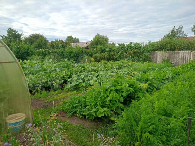 Купить дом на улице Набережная в Тюменской области. Вариант № 28221, 7, площадь -  квм, цена 4500000 рублей