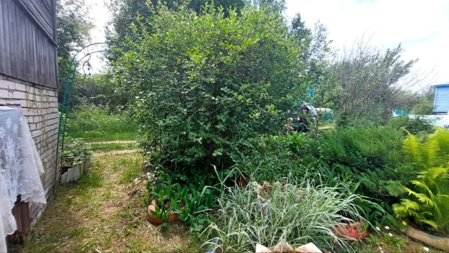 Купить дачу в Коврове. Вариант № 4072752, 6, площадь -  квм, цена 430000 рублей