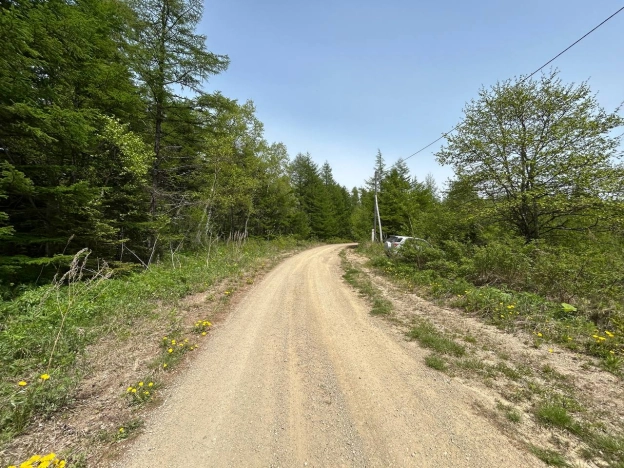 Купить земельный участок в Южно-Сахалинске. Вариант № 19171, 1, площадь -  квм, цена 600000 рублей