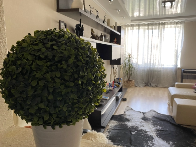 Купить четырехкомнатную квартиру в Пензенской области. Вариант № 12191, 4, площадь -  квм, цена 12200000 рублей