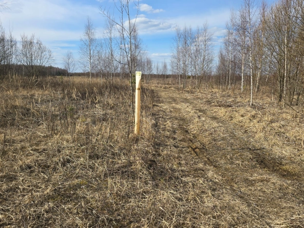 Купить земельный участок на улице Брусничная в Собинке. Вариант № 33125, 5, площадь -  квм, цена 599000 рублей