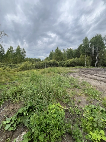 Купить земельный участок в Тобольске. Вариант № 2569133, 4, площадь -  квм, цена 1700000 рублей