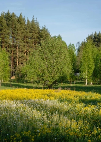 Купить земельный участок в Санкт-Петербурге. Вариант № 9512753, 12, площадь - квм, цена 4239356 рублей