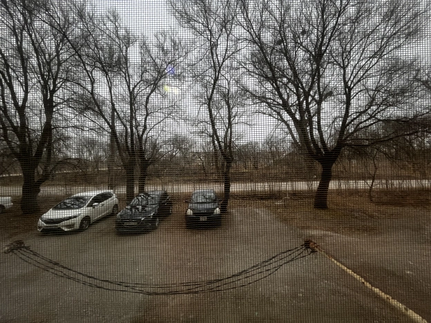 Купить квартиру в Приморском крае. Вариант № 9045683, 12, площадь -  квм, цена 5450000 рублей