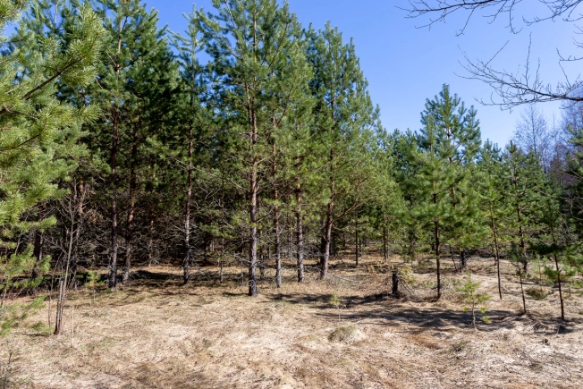 Купить земельный участок в Коврове. Вариант № 36189, 4, площадь -  квм, цена 700000 рублей