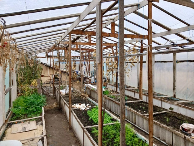 Купить дом в Белгородской области. Вариант № 9164829, 31, площадь -  квм, цена 6300000 рублей