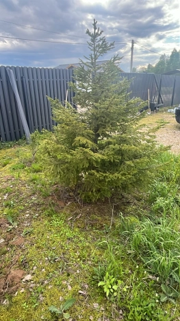 Купить земельный участок в Тверской области. Вариант № 18690, 27, площадь -  квм, цена 6799000 рублей