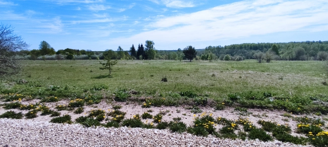 Купить земельный участок в Покрове. Вариант № 1301, 2, площадь -  квм, цена 250000 рублей