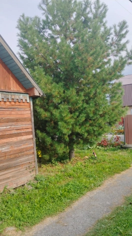 Купить земельный участок в Искитиме. Вариант № 5454023, 2, площадь -  квм, цена 950000 рублей