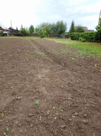 Купить земельный участок в Тобольске. Вариант № 9198803, 5, площадь -  квм, цена 330000 рублей