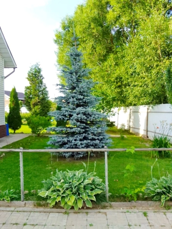 Купить дом в Калуге. Вариант № 6883, 6, площадь -  квм, цена 8999000 рублей