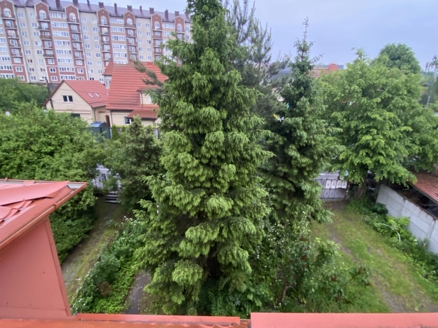 Купить четырехкомнатную квартиру в Калининграде. Вариант № 51662, 25, площадь -  квм, цена 10000000 рублей