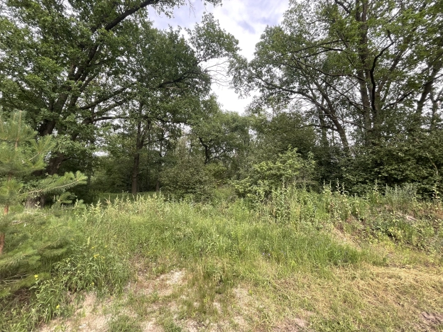 Купить дом в Воронеже. Вариант № 560041, 28, площадь -  квм, цена 16900000 рублей