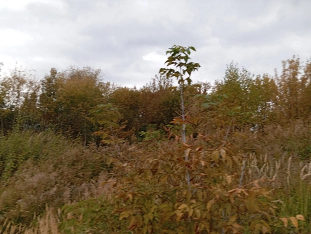 Купить дом в Москве. Вариант № 6184332, 11, площадь -  квм, цена 14900000 рублей