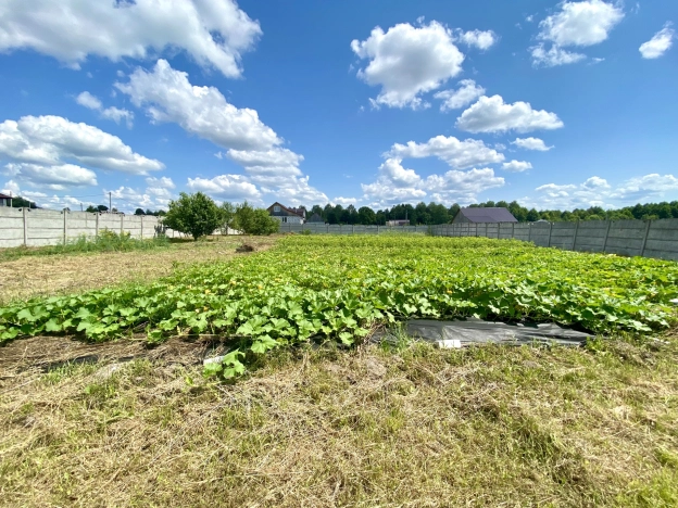 Купить земельный участок в Брянской области. Вариант № 11060, 1, площадь - квм, цена 2500000 рублей