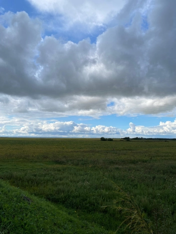 Купить земельный участок в Благовещенске. Вариант № 5440595, 3, площадь -  квм, цена 32000000 рублей