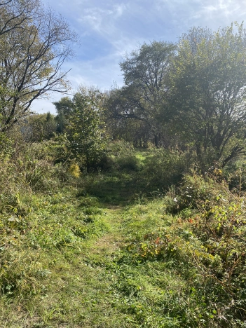 Купить земельный участок в Арсеньеве. Вариант № 12774, 5, площадь -  квм, цена 1900000 рублей