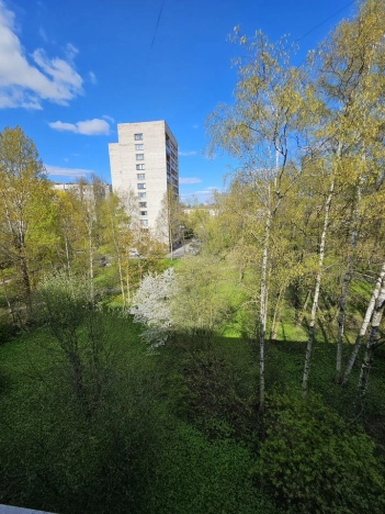 Купить однокомнатную квартиру в районе Московский в Санкт-Петербурге. Вариант № 54867, 7, площадь -  квм, цена 7490000 рублей