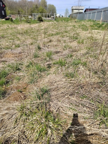 Купить земельный участок в Вологодской области. Вариант № 46210, 3, площадь -  квм, цена 390000 рублей