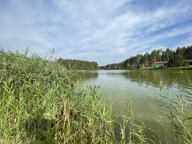 Купить дом в Воронеже. Вариант № 558382, 30, площадь -  квм, цена 16900000 рублей