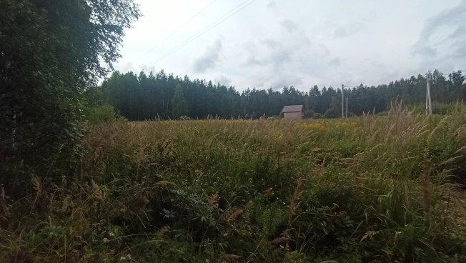 Купить земельный участок на улице Селецкий Вал в Владимире. Вариант № 5346, 7, площадь -  квм, цена 960000 рублей