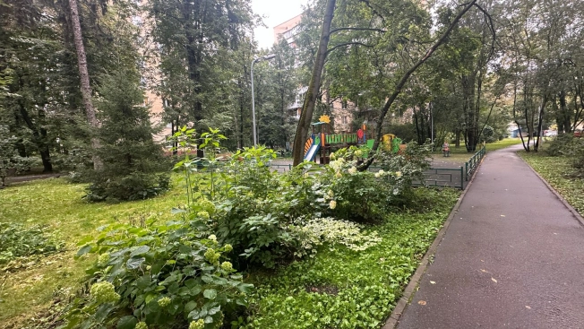 Купить квартиру в Москве. Вариант № 3081388, 24, площадь - квм, цена 20500000.0000 рублей
